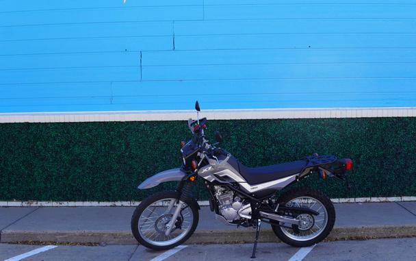 2025 XT250
