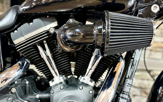 2015 FXDB - Dyna Street Bob