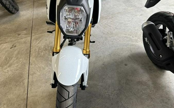 2025 Honda® Grom