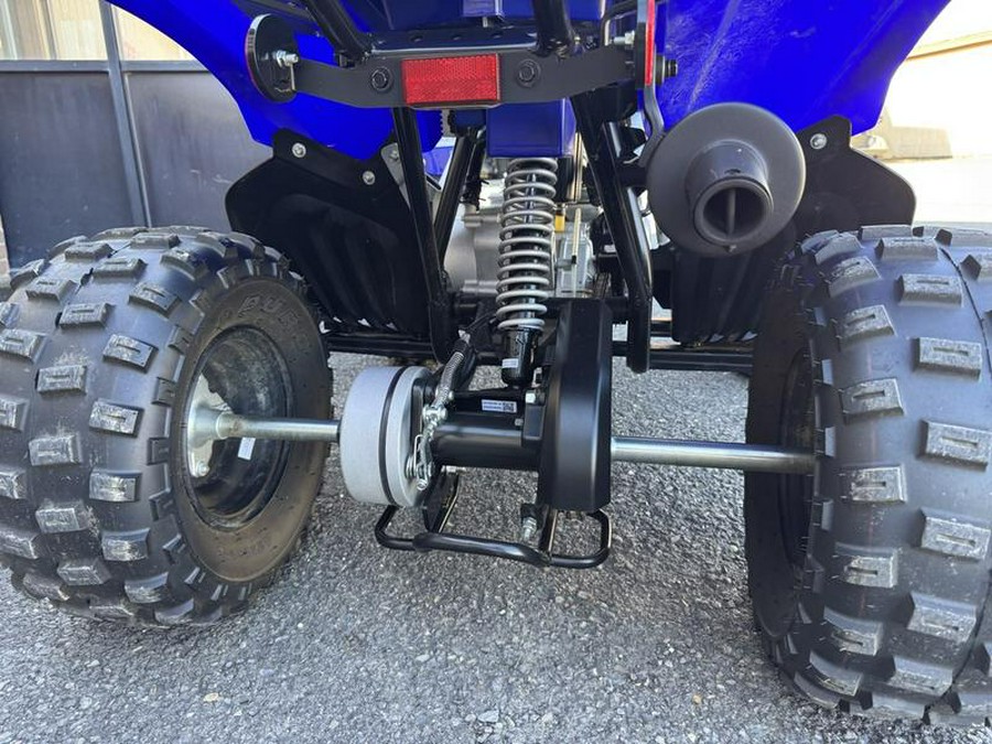 2022 Yamaha Raptor 90