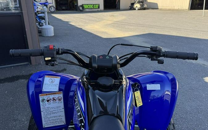 2022 Yamaha Raptor 90
