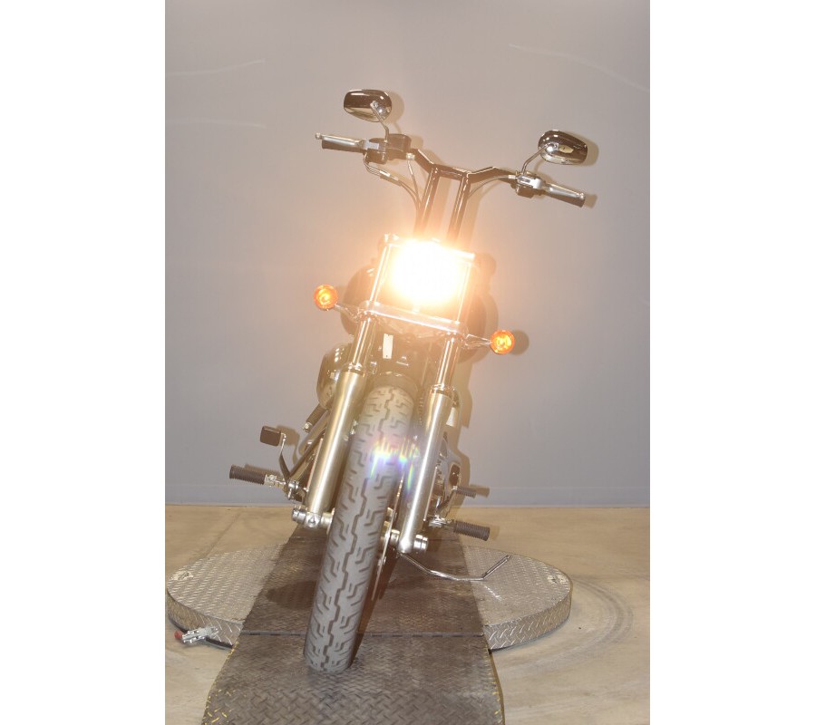 2009 Harley-Davidson Low Rider