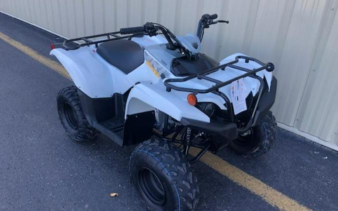 2024 Yamaha Grizzly 90