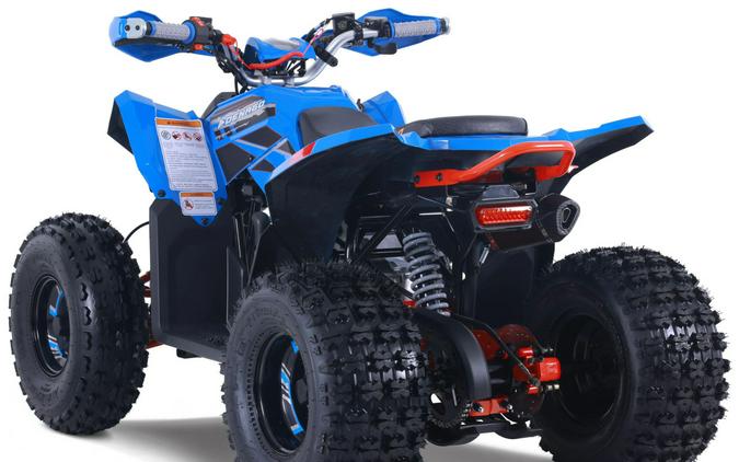 2026 Denago Powersports Trailhawk 10FI