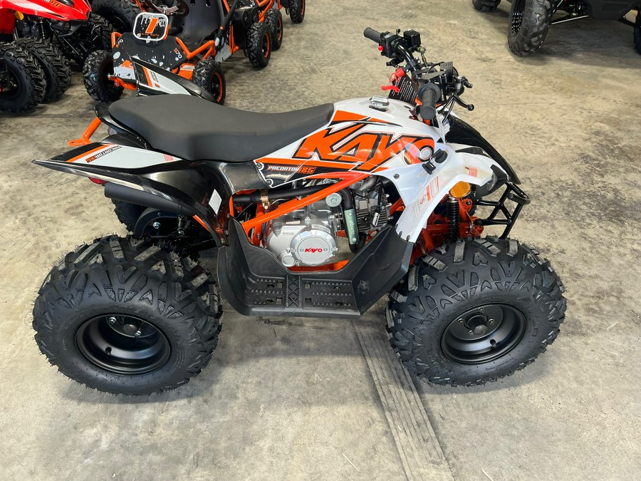 2023 Kayo Predator 125