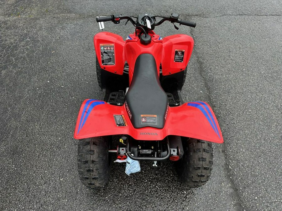 2024 Honda TRX 90X