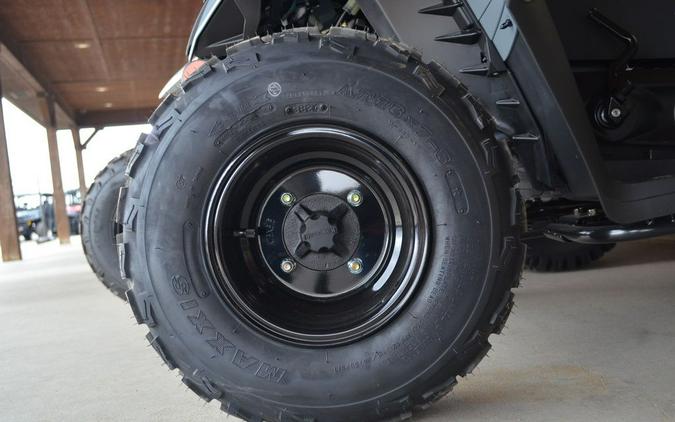 2025 Kawasaki KFX®90