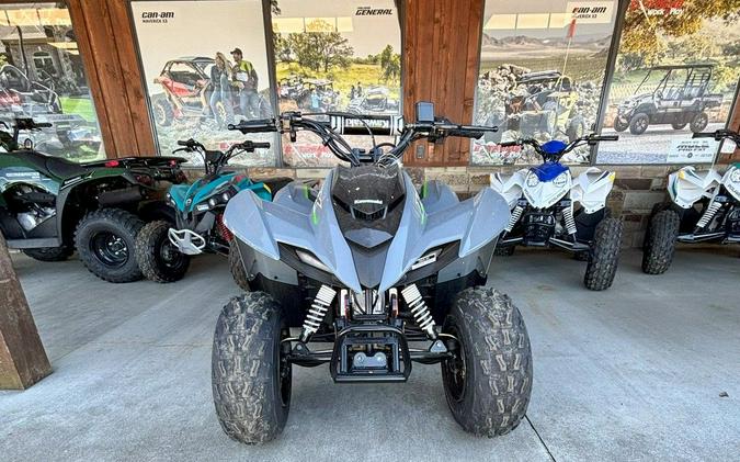 2025 Kawasaki KFX®90