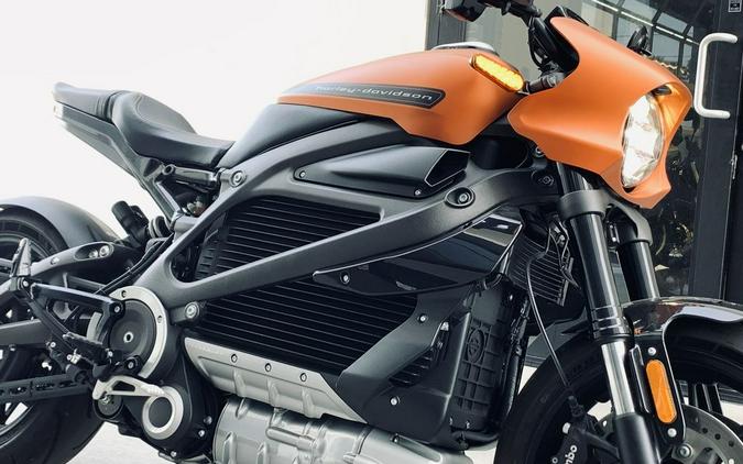 2020 Harley-Davidson® ELW - LiveWire™