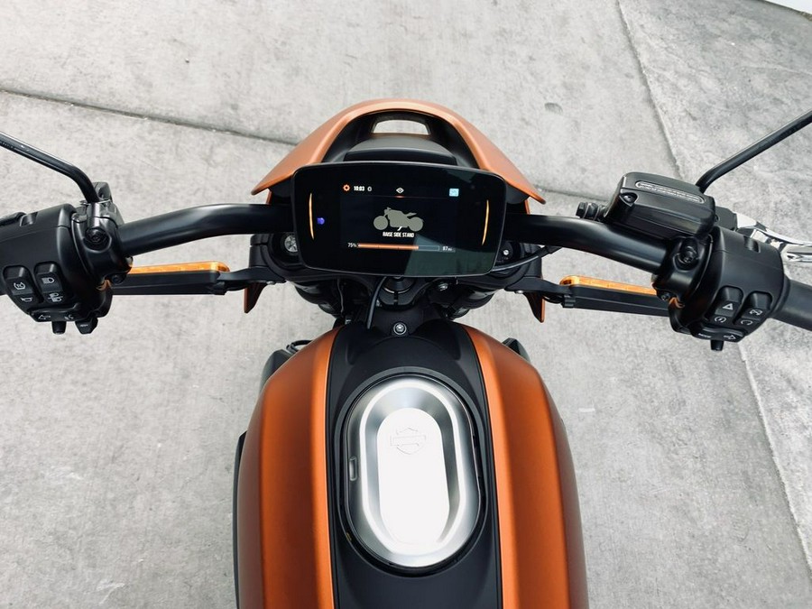 2020 Harley-Davidson® ELW - LiveWire™