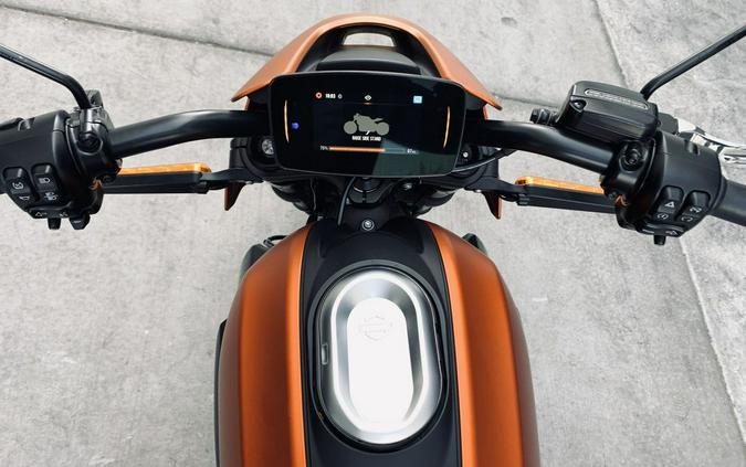 2020 Harley-Davidson® ELW - LiveWire™