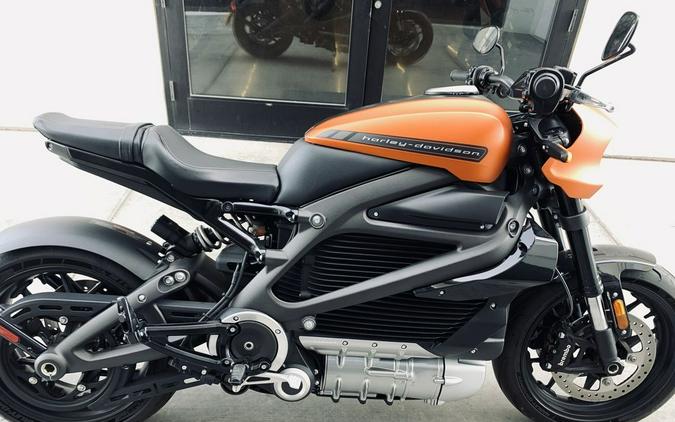 2020 Harley-Davidson® ELW - LiveWire™