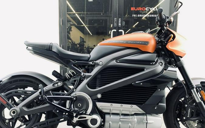 2020 Harley-Davidson® ELW - LiveWire™