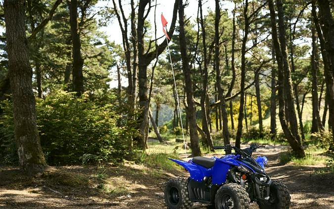 2025 Yamaha Motor Corp., USA YFZ50
