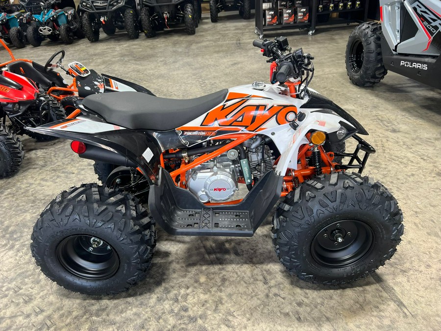 2023 Kayo Predator 125