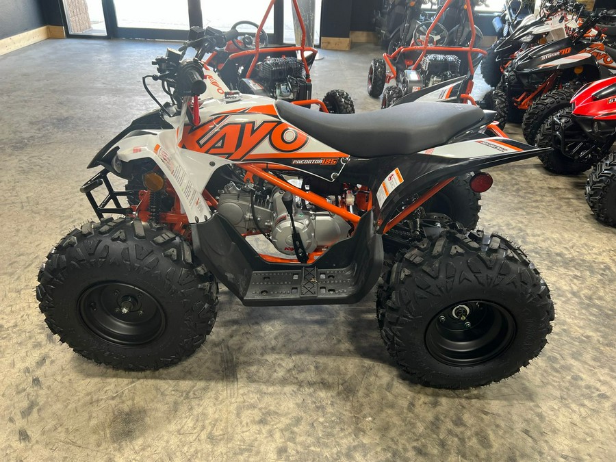 2023 Kayo Predator 125