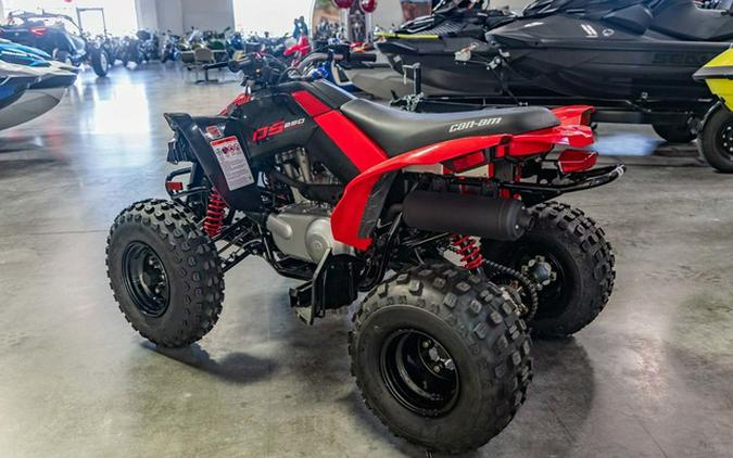 2026 Can-Am DS 250