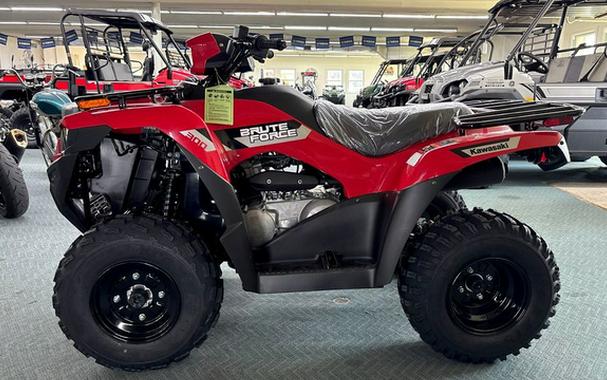 2026 Kawasaki Brute Force 300