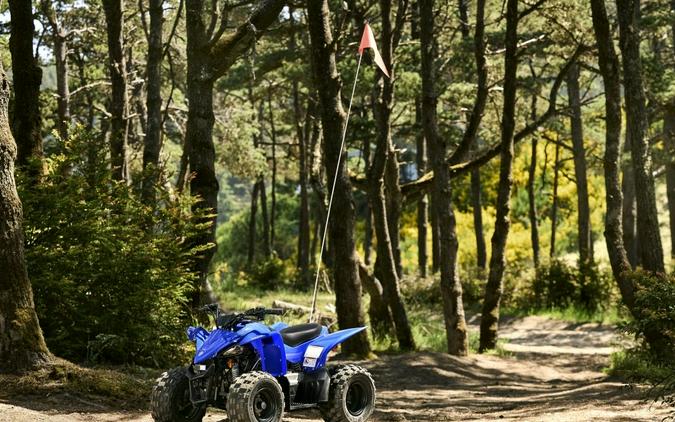2026 Yamaha YFZ50