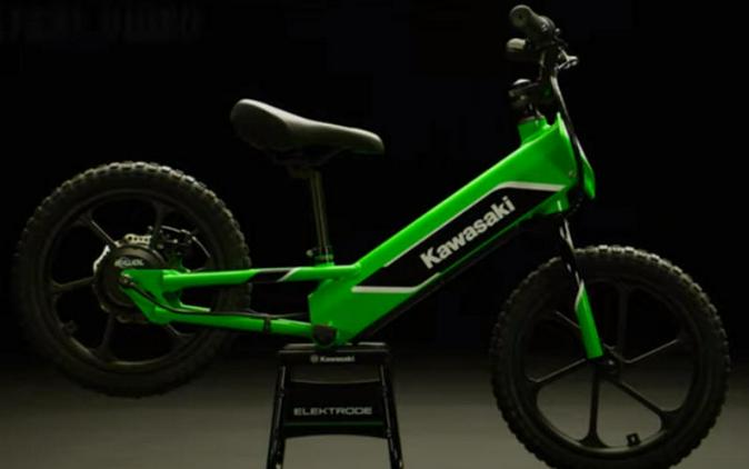 2023 Kawasaki Elektrode™