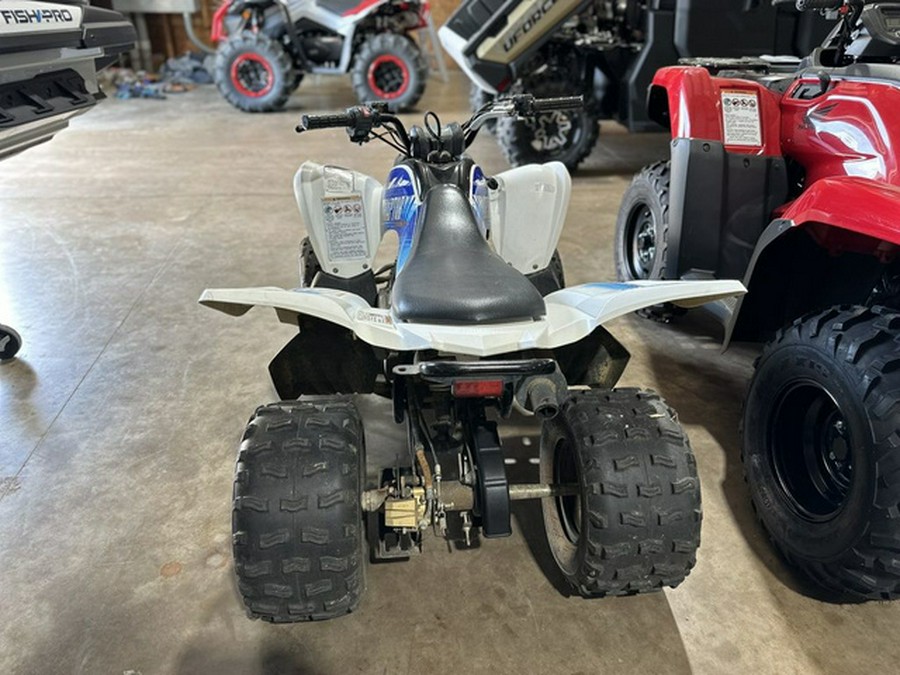 2010 Yamaha Raptor 90