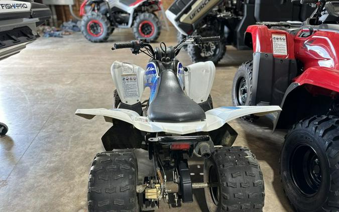 2010 Yamaha Raptor 90