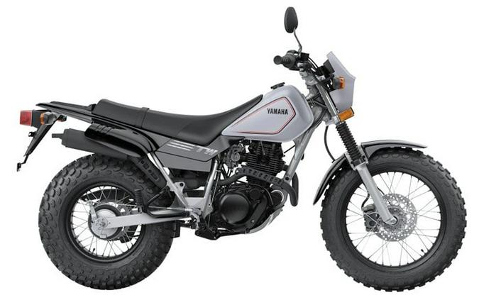 2025 Yamaha TW200