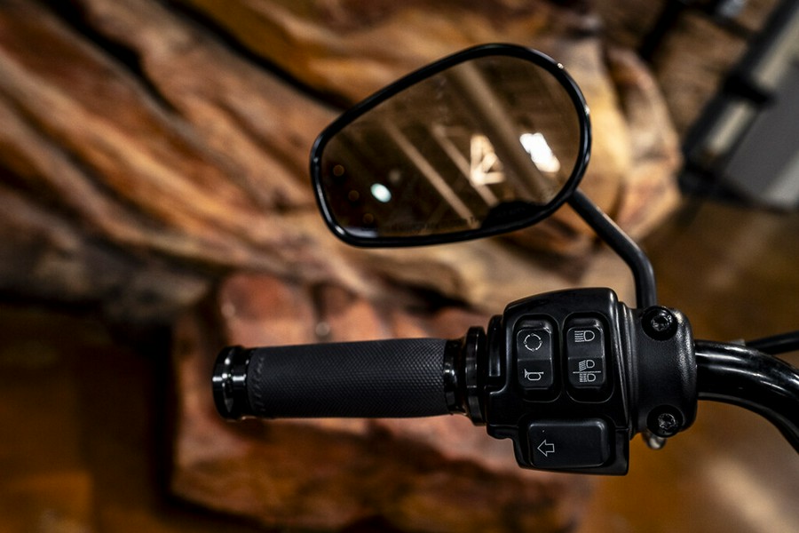 2019 Harley-Davidson Softail FXDR 114