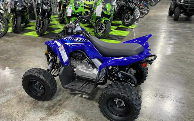 2026 Yamaha Raptor 110