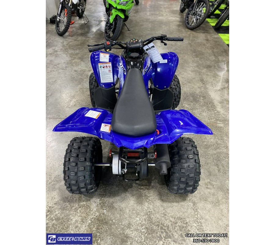 2026 Yamaha Raptor 110