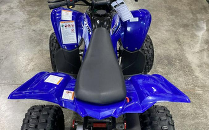 2026 Yamaha Raptor 110