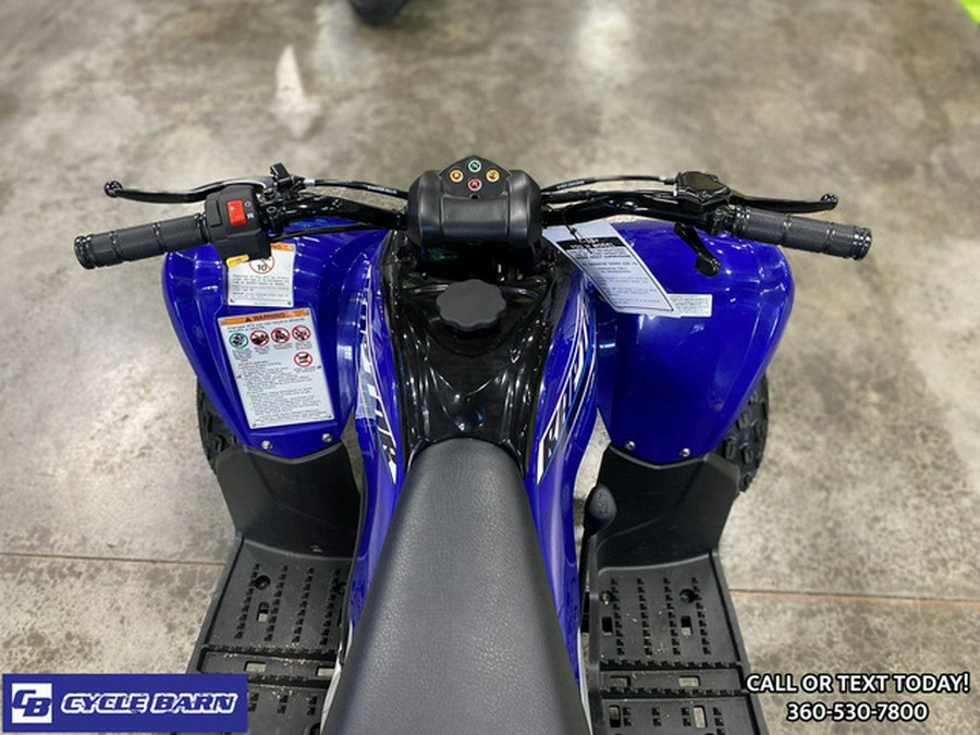 2026 Yamaha Raptor 110