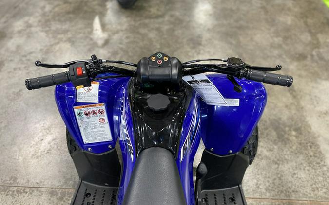 2026 Yamaha Raptor 110