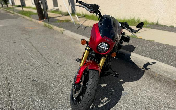 2025 Indian 101 Scout®