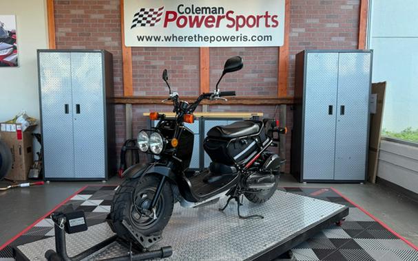 2011 Honda Ruckus