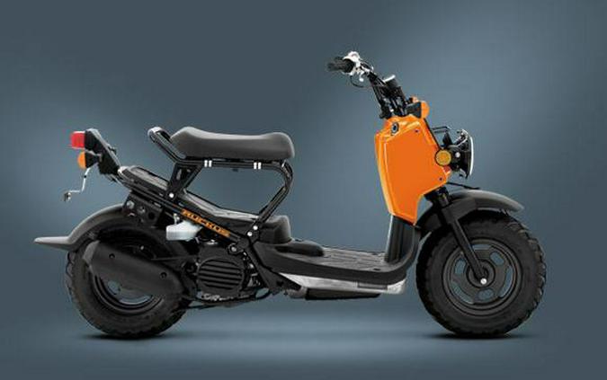 2011 Honda Ruckus