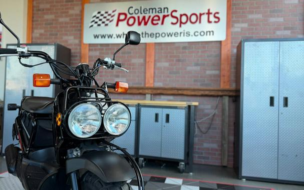 2011 Honda Ruckus