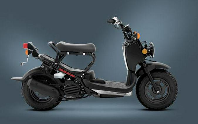 2011 Honda Ruckus