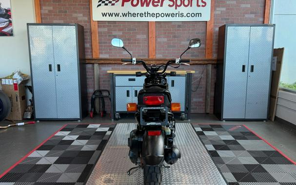 2011 Honda Ruckus