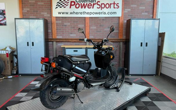 2011 Honda Ruckus