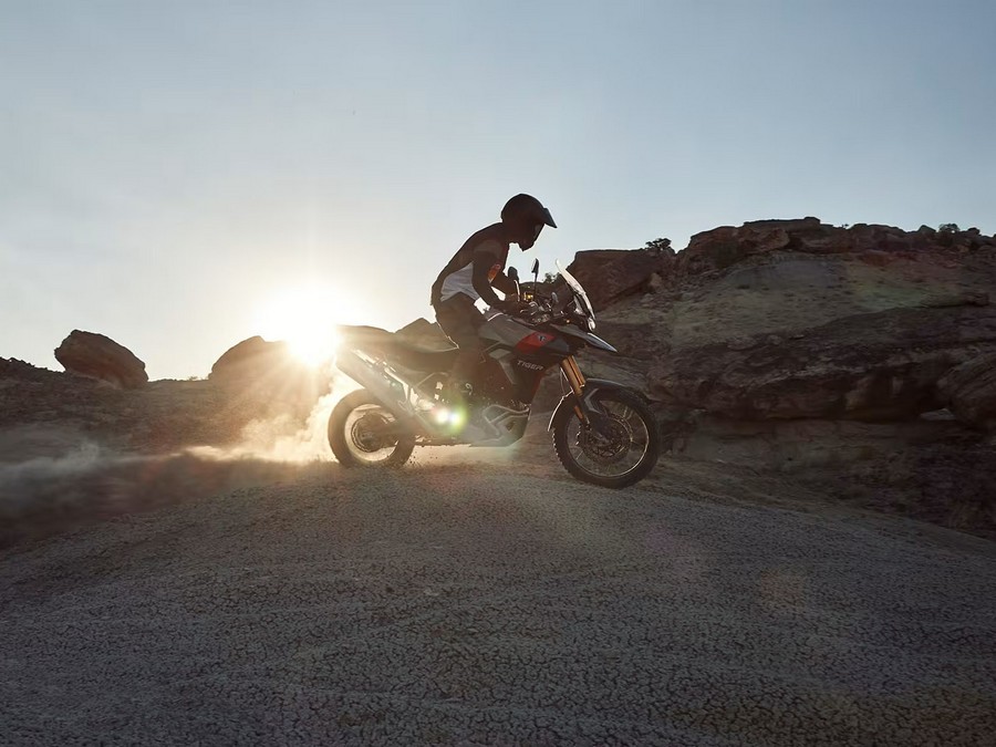 2025 Triumph Tiger 900 Rally Pro