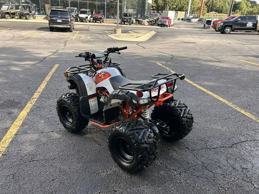 2020 Kayo 125 Bull