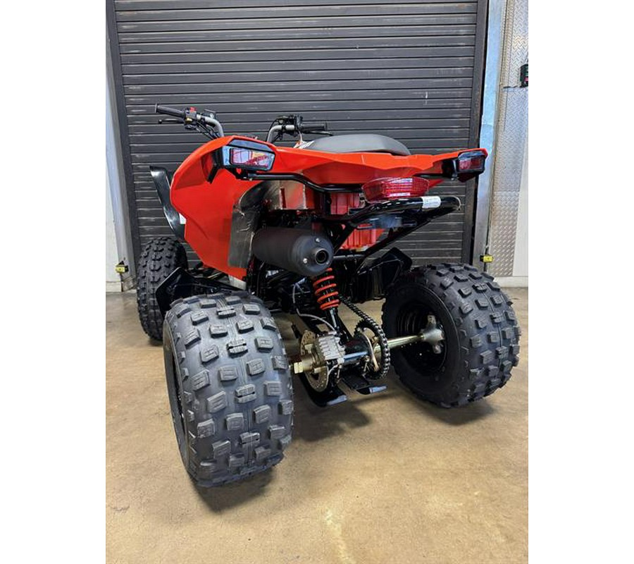 2026 Can-Am DS 250