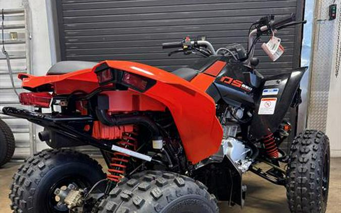 2026 Can-Am DS 250