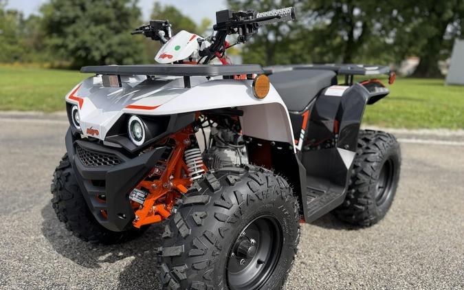 2027 Kayo Bull 110