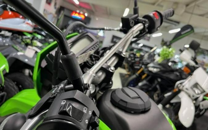 2024 Kawasaki KLX®300