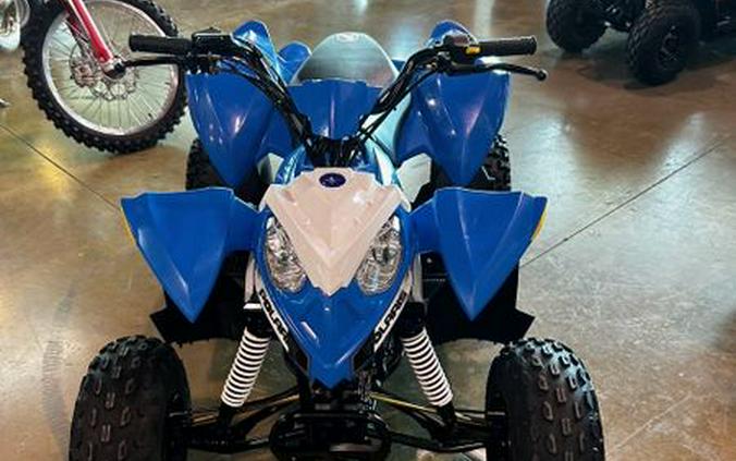 2016 Polaris OUTLAW 110