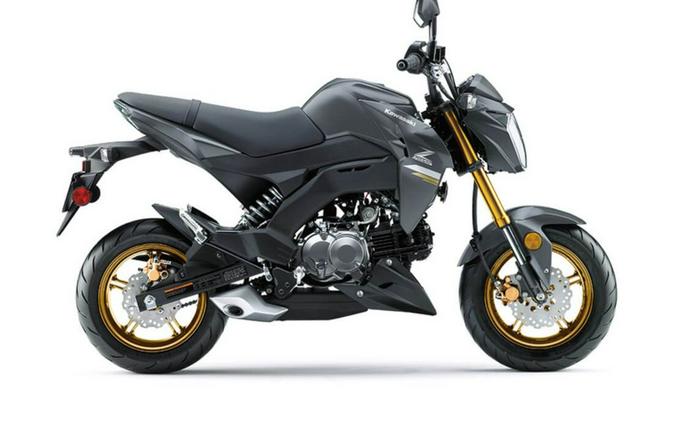 2024 Kawasaki Z125 PRO Base