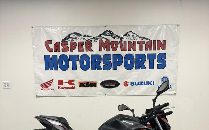 2025 KAWASAKI Z500 ABS - K3255