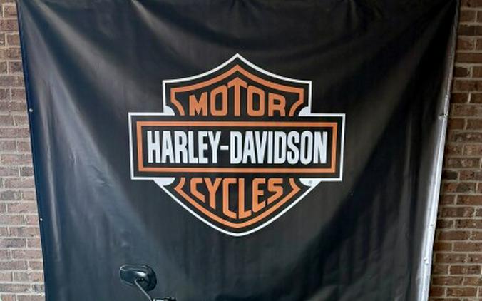 2021 Harley-Davidson Iron 883 Black Denim